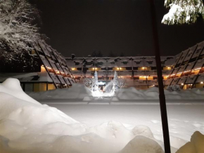Centro Pineta Family Hotel & Wellness Pinzolo